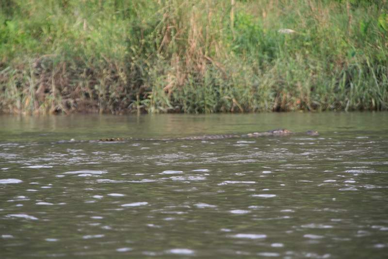 India & Nepal 2011 - 0583